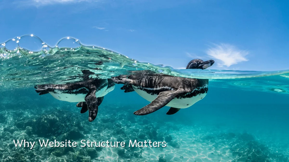 Why Website Structure Matters
