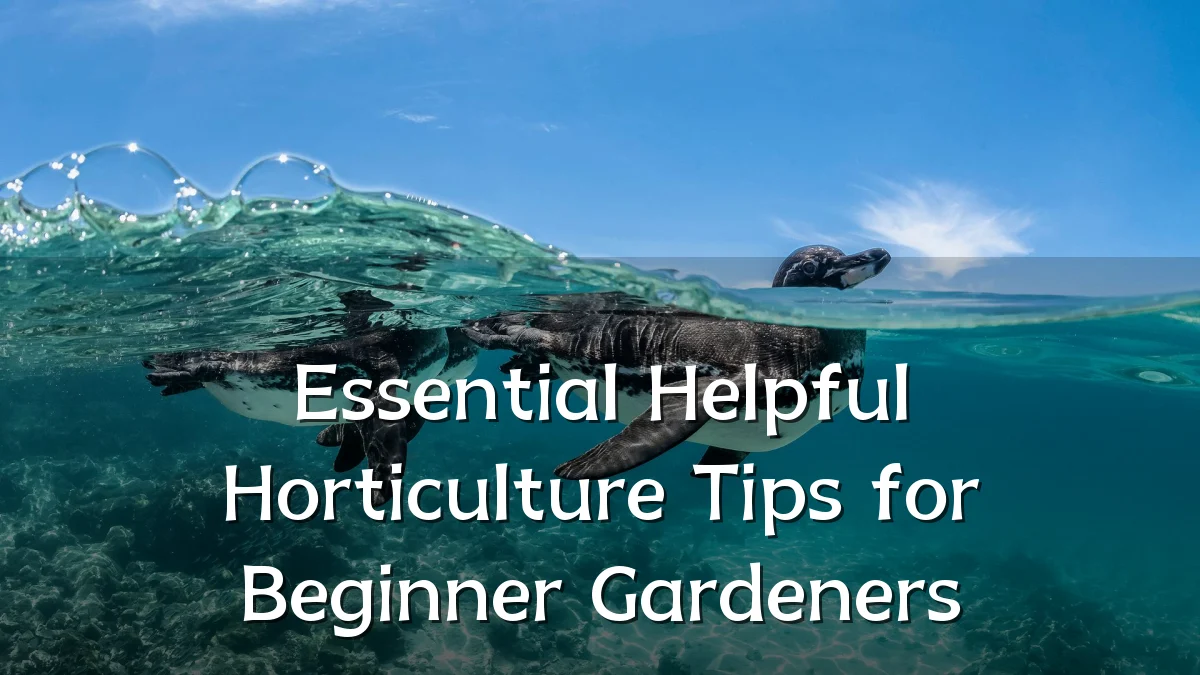 Essential Helpful Horticulture Tips for Beginner Gardeners