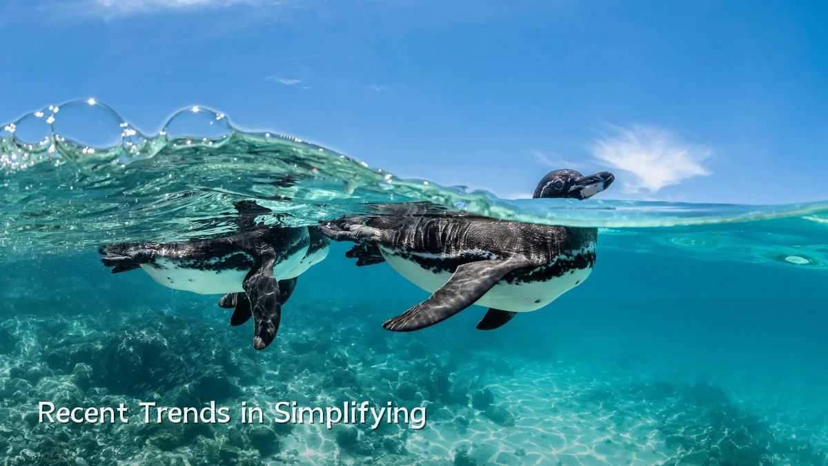 Recent Trends in Simplifying