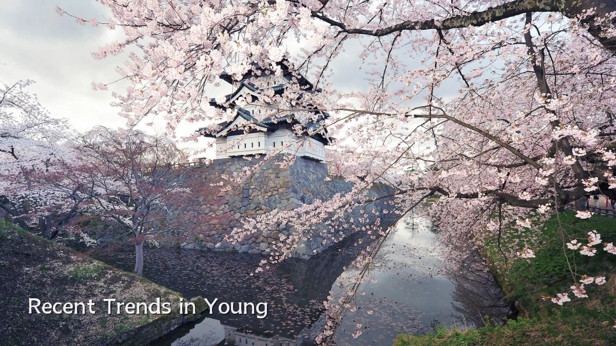 Recent Trends in Young