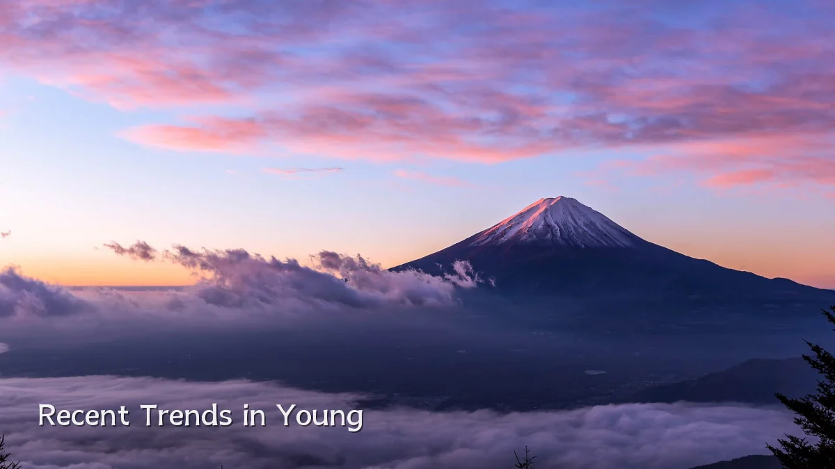 Recent Trends in Young