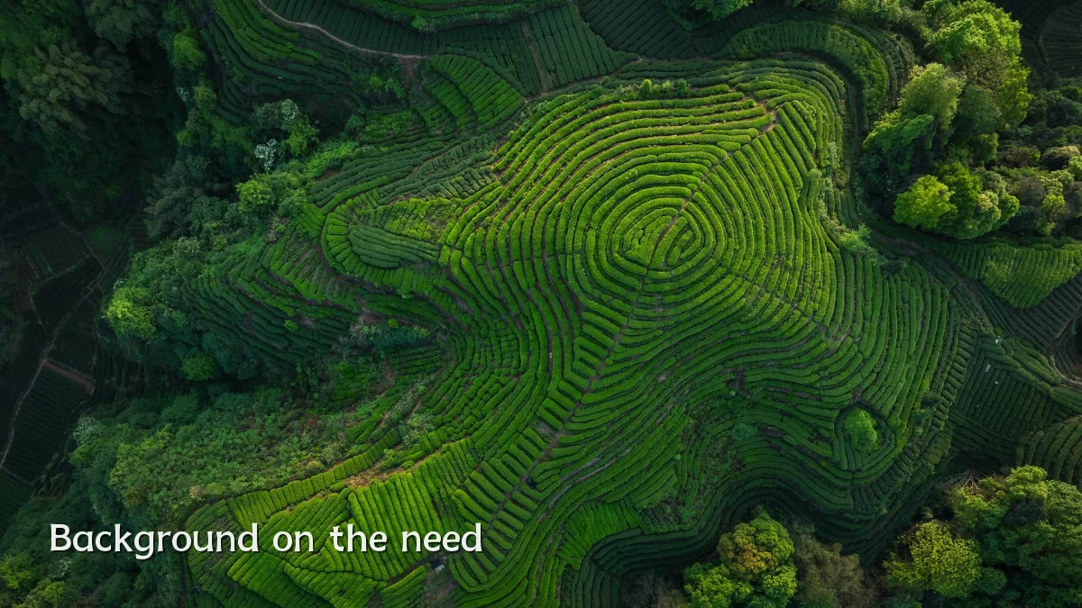 Background on the need