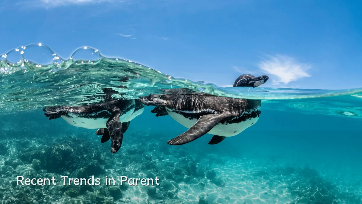 Recent Trends in Parent