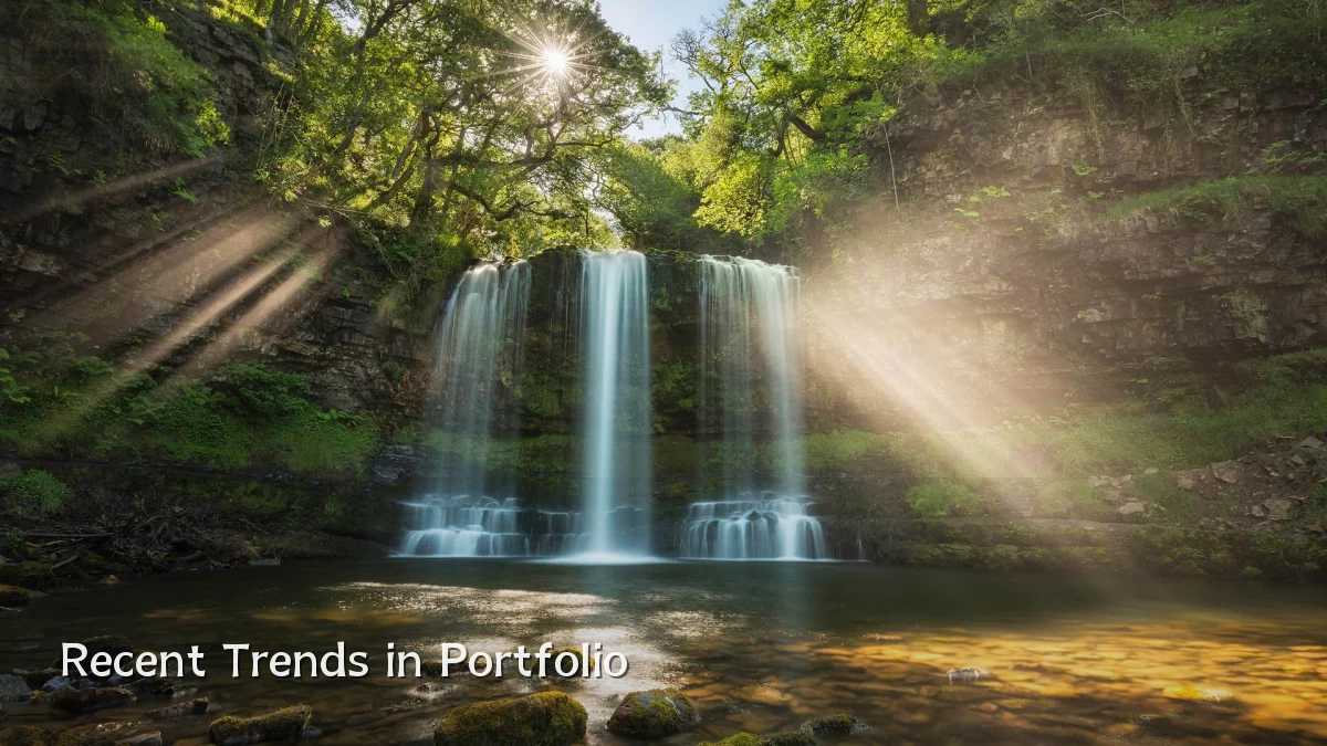 Recent Trends in Portfolio