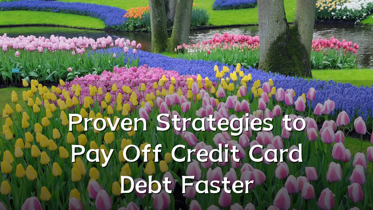 Proven Strategies to Pay Off Credit Card Debt Faster