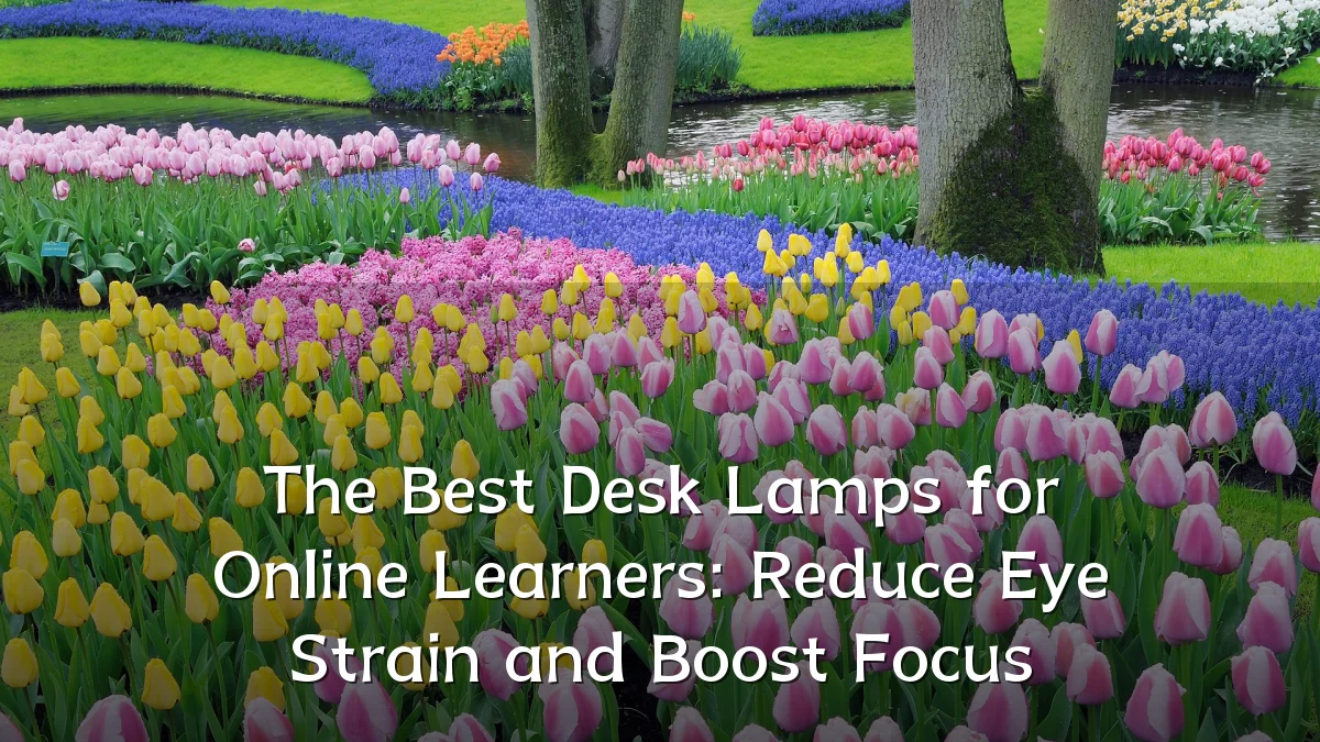 The Best Desk Lamps for Online Learners: Reduce Eye Strain and Boost Focus